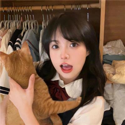 国家鸟 在线观看