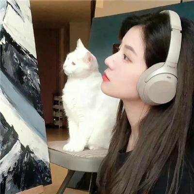 明月守护者 在线观看